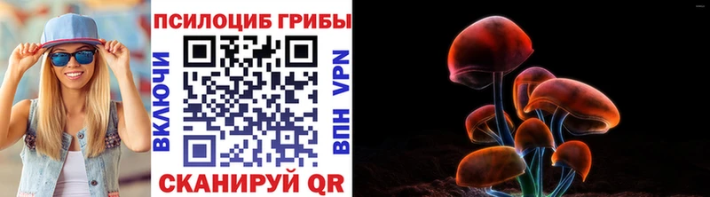 Галлюциногенные грибы мицелий  Богучар 